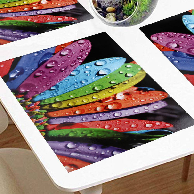 PVC Dining Table Kitchen Placemats(45X30cm, Multicolor) - Set of 6