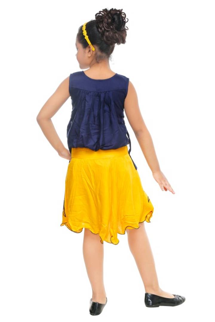 Girls Party(Festive) Top Skirt  (Multicolor)