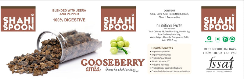 Shahi Spoon Gooseberry Amla Churan,75gm-Price Incl.Shipping