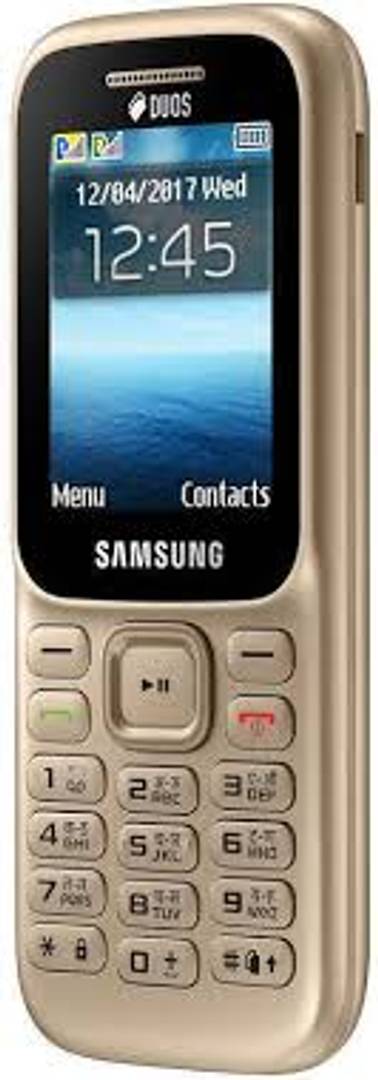 Samsung 310 Mobile Phone Gold (6 Months Warranty)