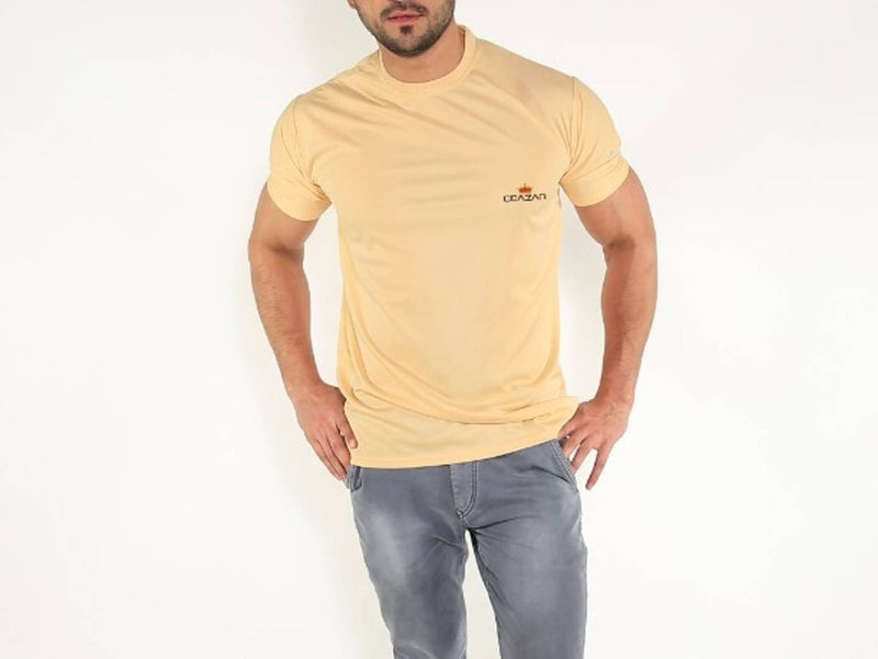 Men's Beige Solid Polyester Round Neck T-Shirt