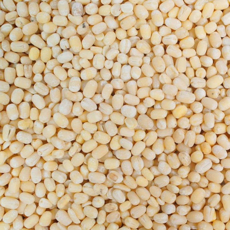 Urad Whole White Loose 1000 Gms - Price Incl. Shipping