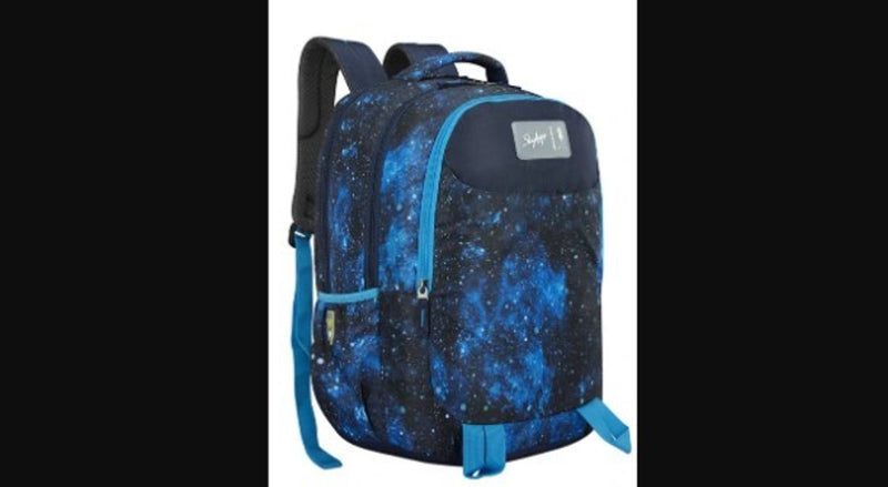 Trendy Stylish SKYBAGS Astro Backpacks
