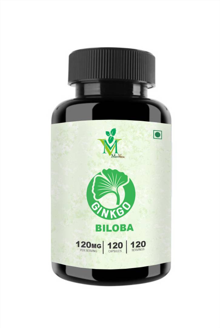 Ginkgo Biloba Vegetarian 120 Capsules Pack Of 1