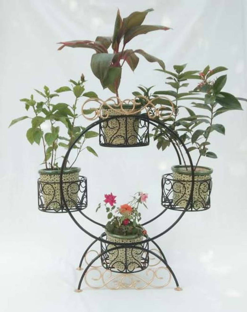 Flowers Pot Round Shape