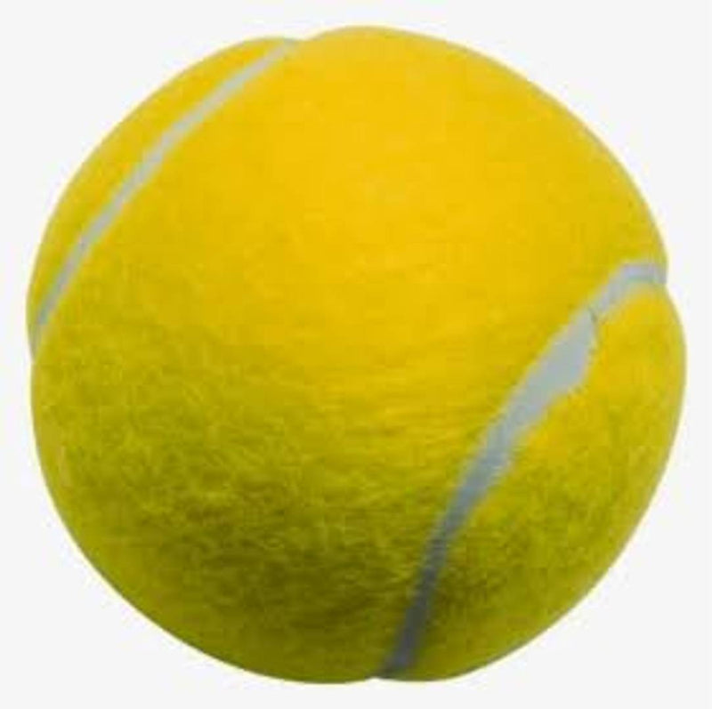 Cricket tennis ball
