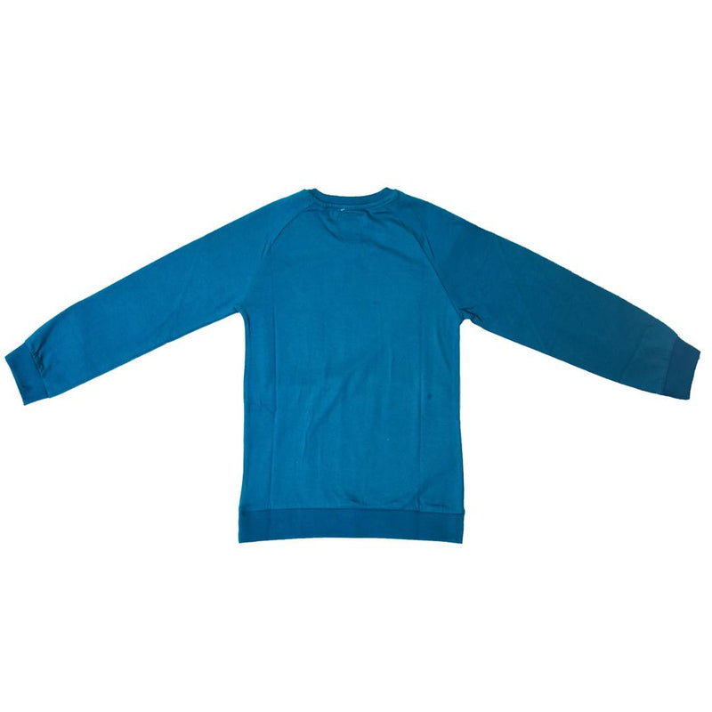 Stylish Cotton Blend Turquoise Printed Round Neck Sweatshirt For Boys