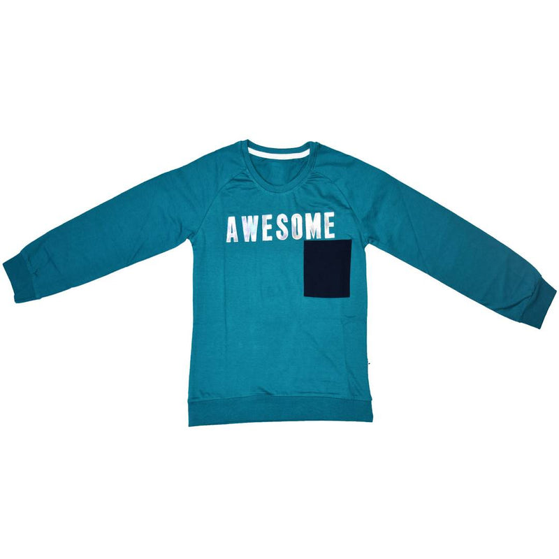 Stylish Cotton Blend Turquoise Printed Round Neck Sweatshirt For Boys