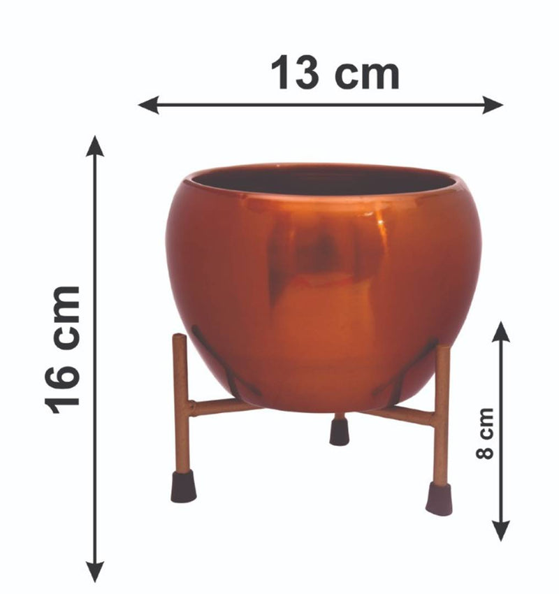 The Golden Bowls' Table Planter Pots With Stands In Iron (16 cm, Set of 1)