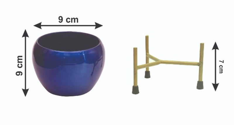 The Blue Bowls' Table Planter Pots With Stands In Iron (13 cm, Set of 1)